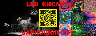 стаф Берёзовский