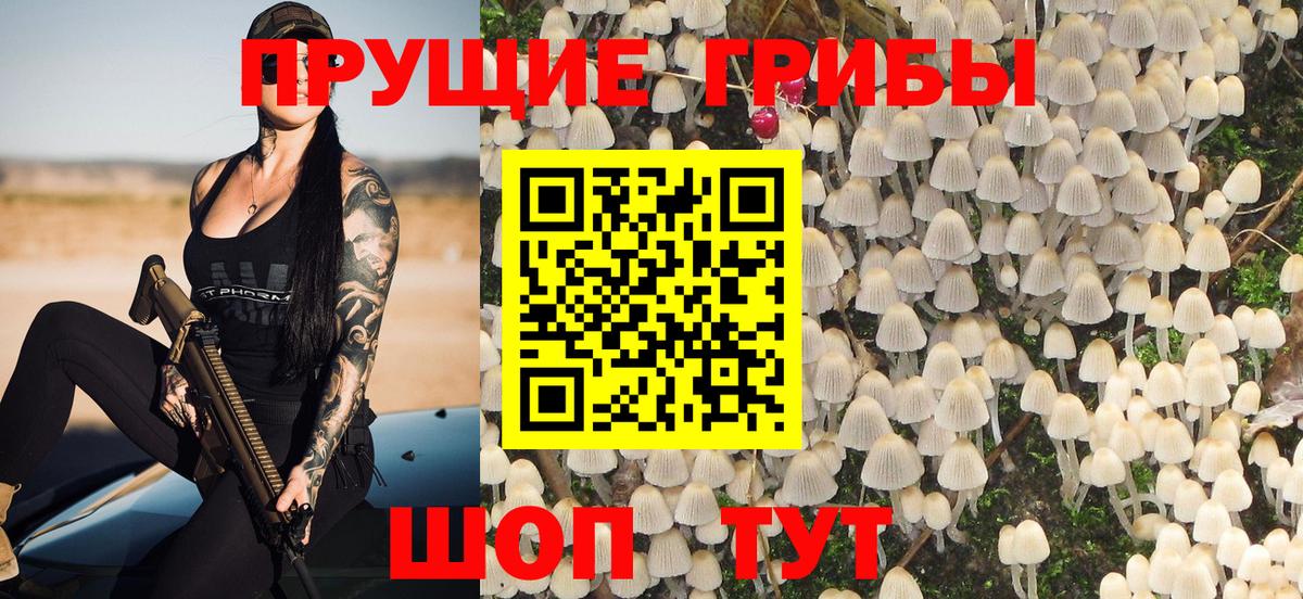 Псилоцибиновые грибы мухоморы Калининград