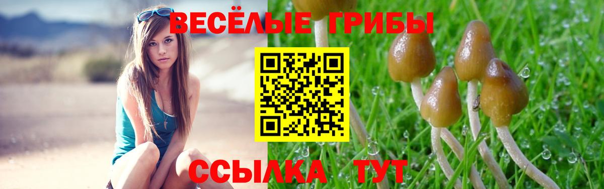 Галлюциногенные грибы мухоморы  Вход с VPN  Калининград 
