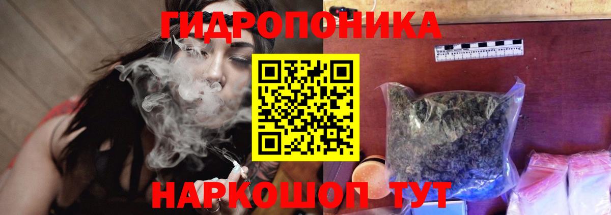 Марихуана семена  Бошки Шишки гибрид  Калининград  Вход с VPN 